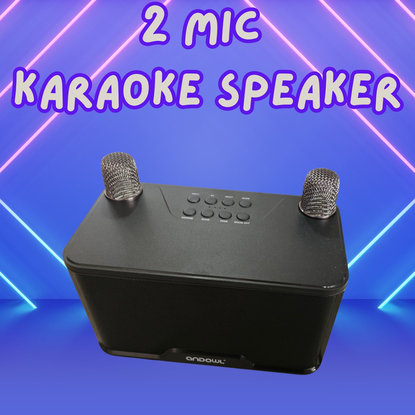 Karaoke Speaker with 2 wireless Microphones