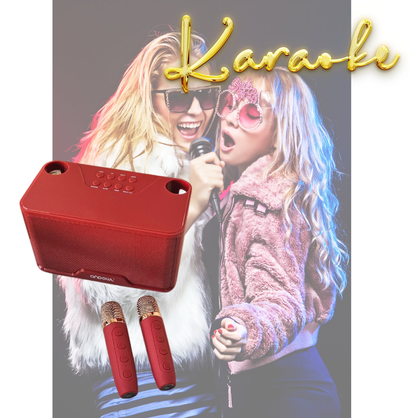 Karaoke Speaker with 2 wireless Microphones