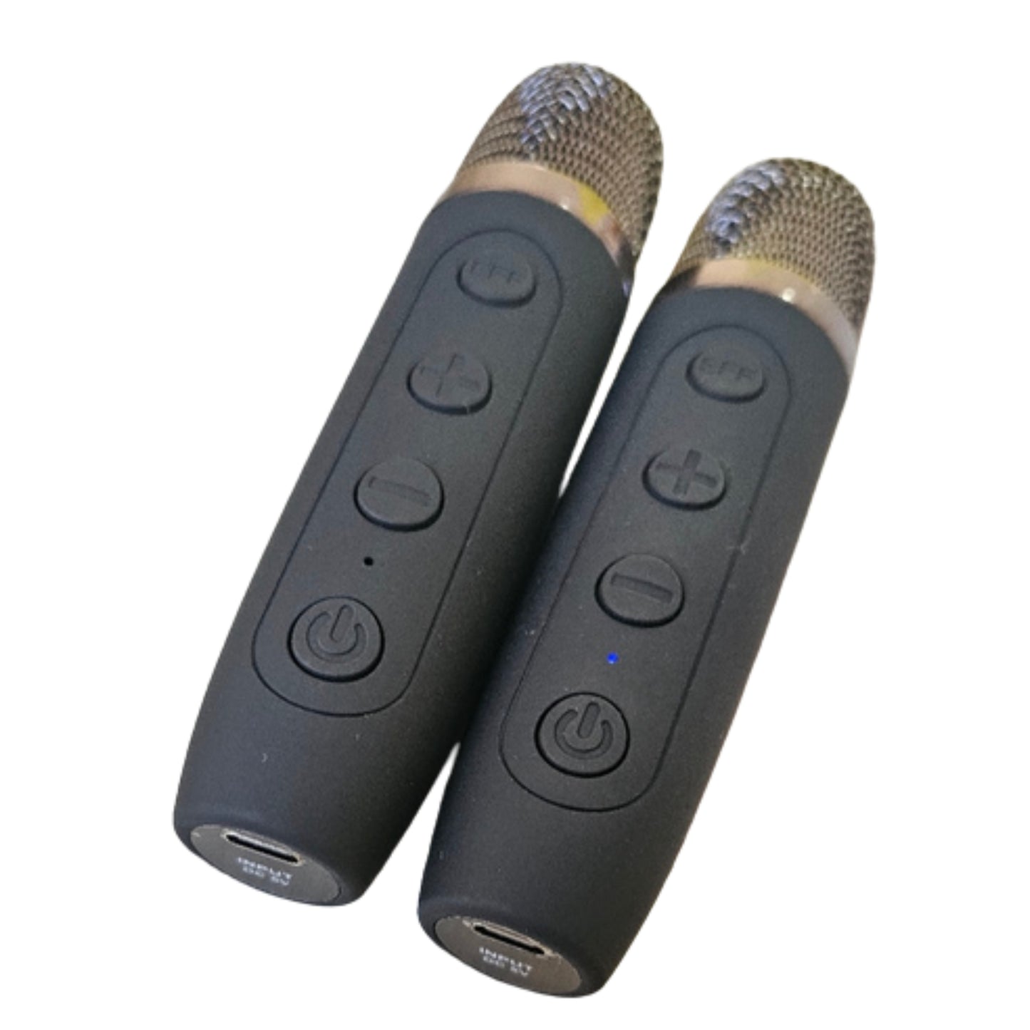 Karaoke Speaker with 2 wireless Microphones