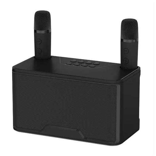 Karaoke Speaker with 2 wireless Microphones