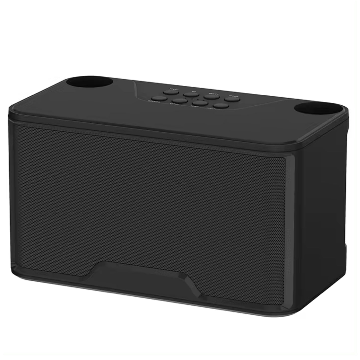 Karaoke Speaker with 2 wireless Microphones