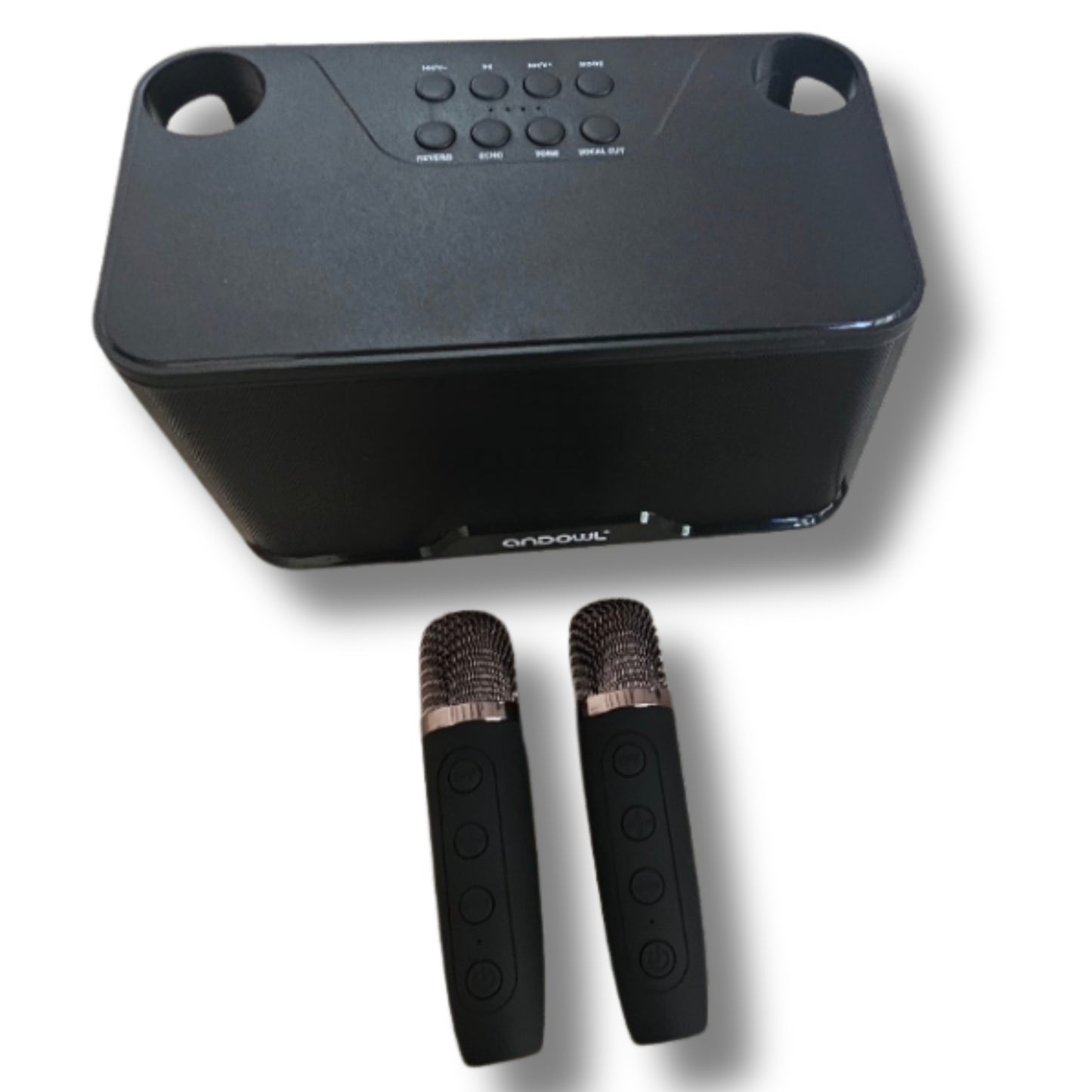 Karaoke Speaker with 2 wireless Microphones