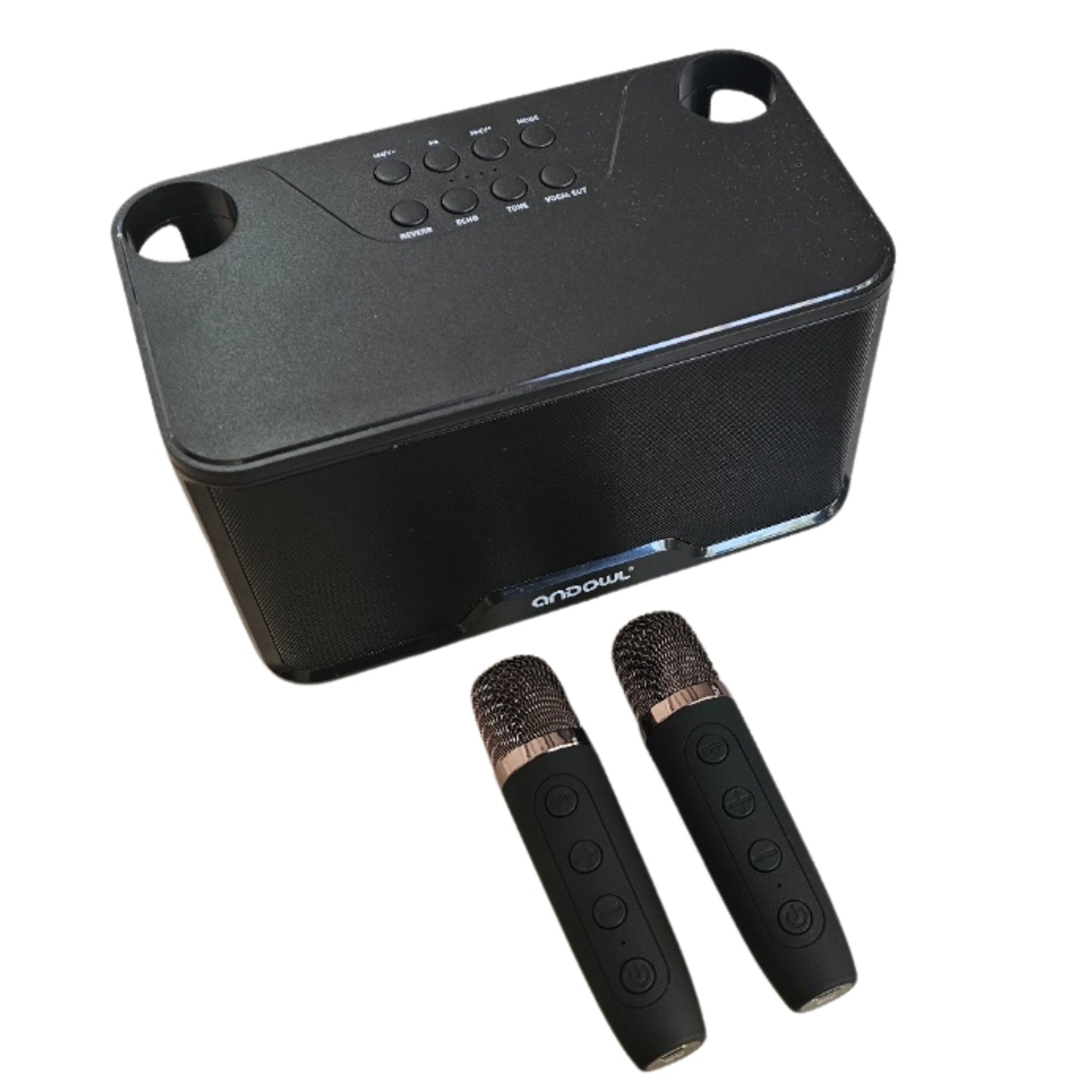 Karaoke Speaker with 2 wireless Microphones