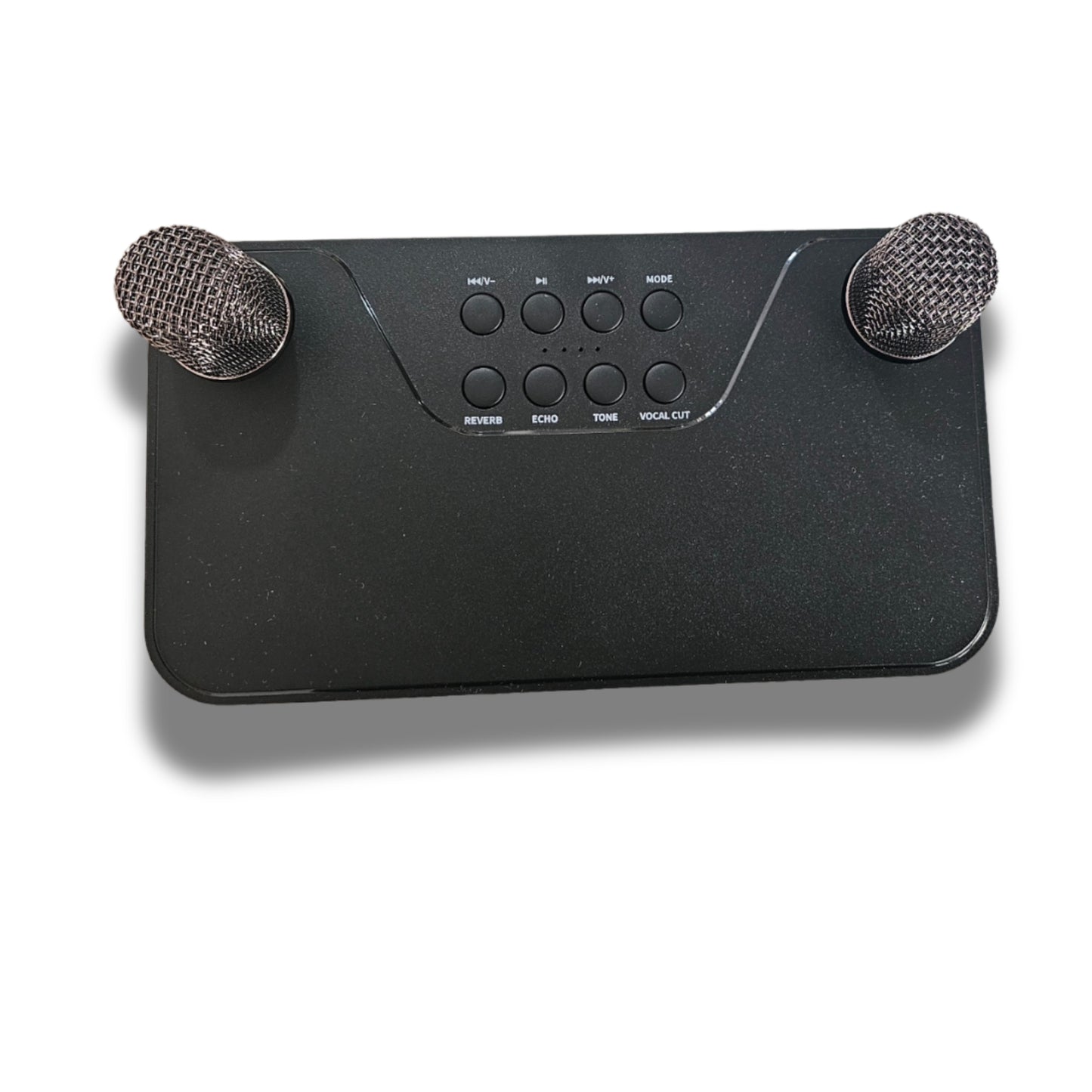 Karaoke Speaker with 2 wireless Microphones