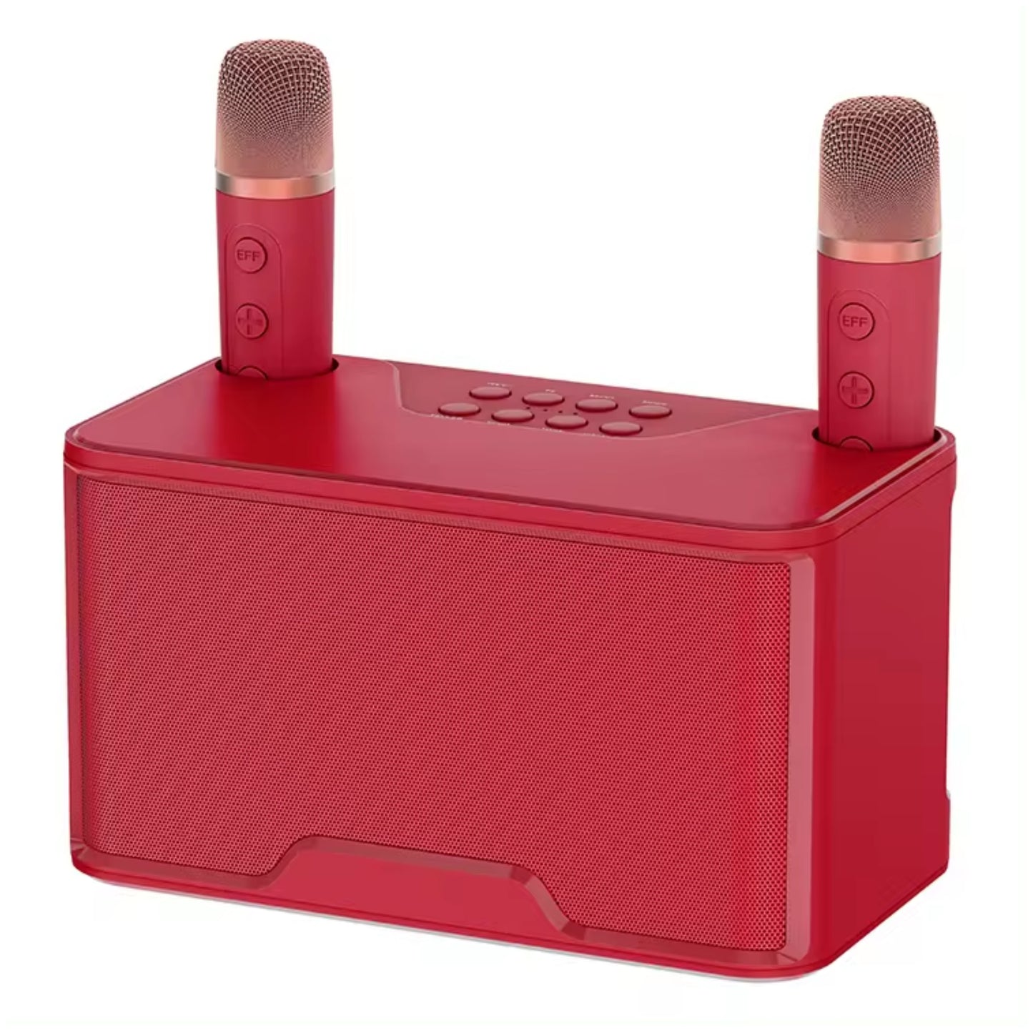 Karaoke Speaker with 2 wireless Microphones
