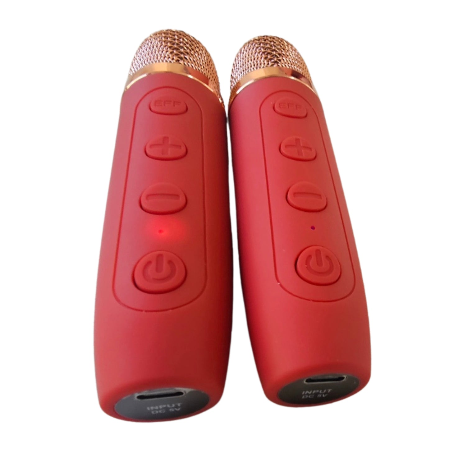 Karaoke Speaker with 2 wireless Microphones