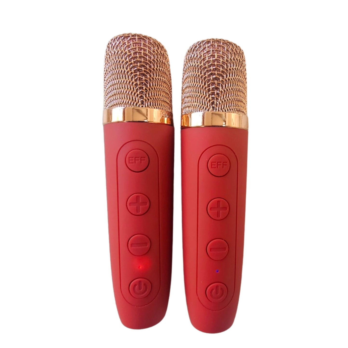 Karaoke Speaker with 2 wireless Microphones