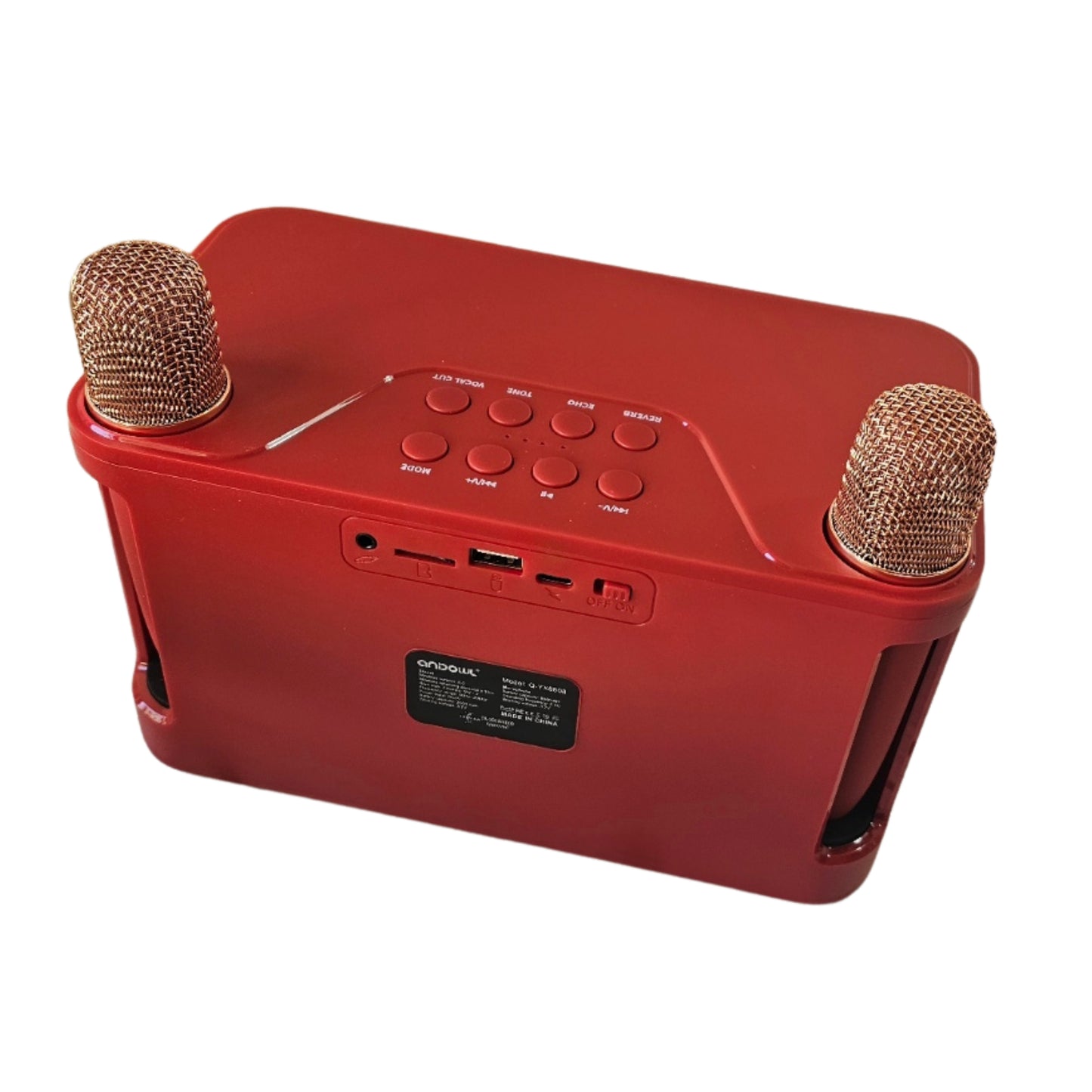 Karaoke Speaker with 2 wireless Microphones
