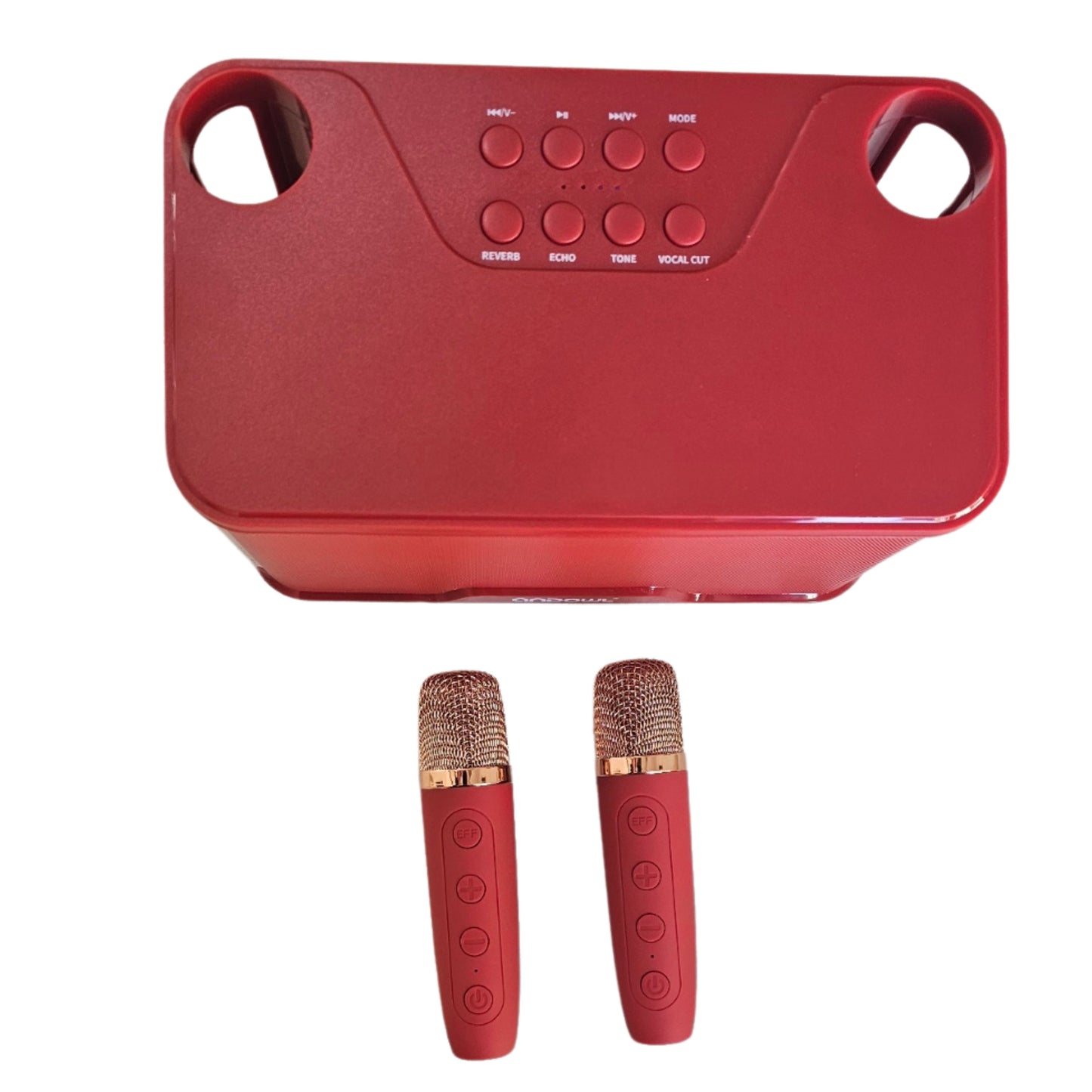 Karaoke Speaker with 2 wireless Microphones