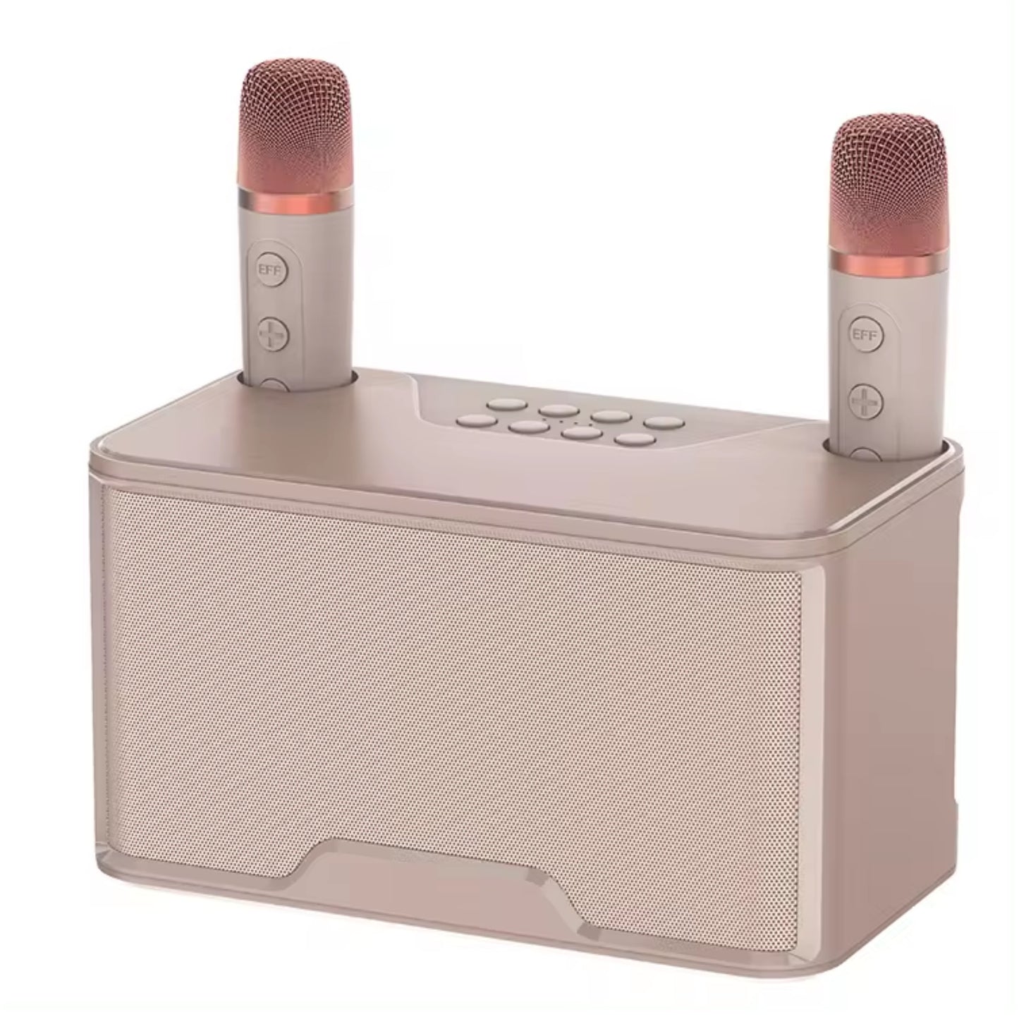 Karaoke Speaker with 2 wireless Microphones