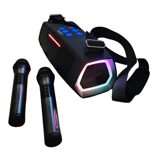 High Quality Bluetooth Karaoke and outdoor speaker
