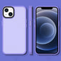 Translucent Frosted Shockproof Phone Case, For iPhone 13 mini, For iPhone 13 Pro, For iPhone 13 Pro Max, For iPhone 12 / 12 Pro, For iPhone 12 Pro Max, For iPhone 13