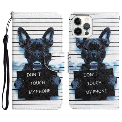 Colored Drawing Leather Phone Case