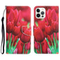 Colored Drawing Leather Phone Case
