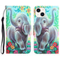 Colored Drawing Leather Phone Case