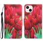 Colored Drawing Leather Phone Case
