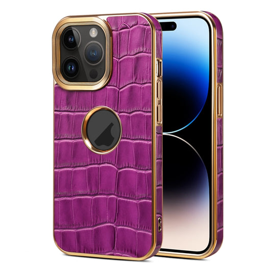 Denior Crocodile Texture Genuine Leather Electroplating Phone Case