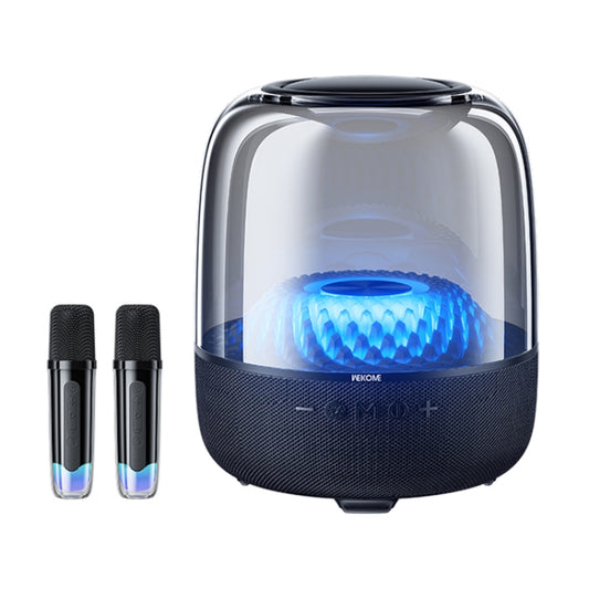 WEKOME Beluga D16 Spiritful Island Desktop Bluetooth Speaker With Dual Microphones