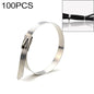 100 PCS 4.6x250mm Stainless Steel Metal Cable Ties Tie Zip Wrap Exhaust Heat Straps Induction Pipe, 4.6x250mm